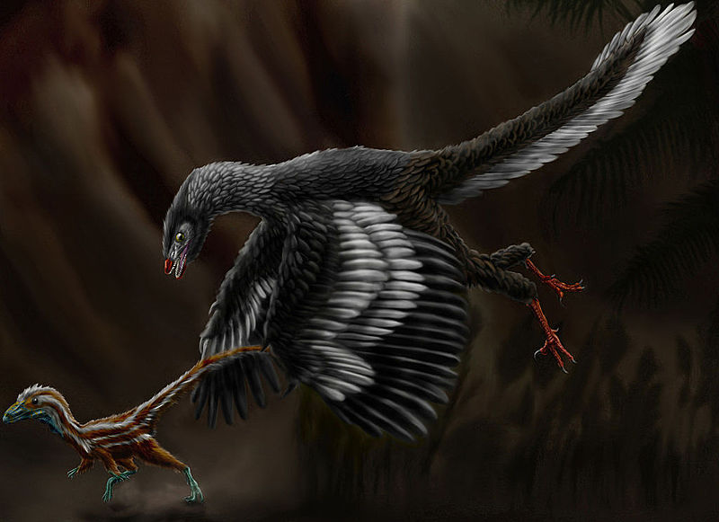 Archaeopteryx | Dinopedia | FANDOM powered by Wikia