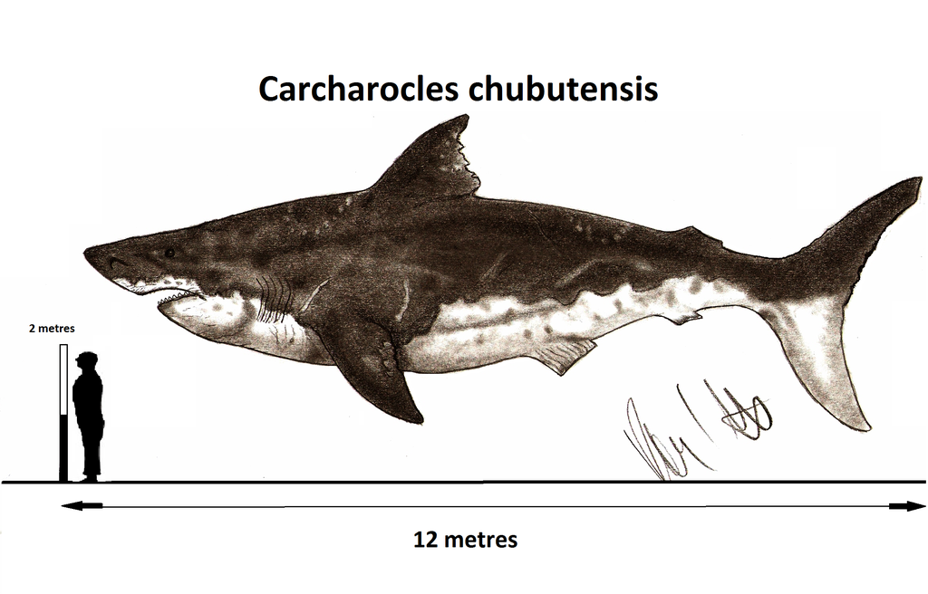 carcharodon dinosaur