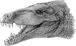 Sebecus Dinopedia FANDOM powered by Wikia