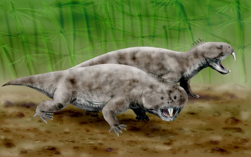 Extinct Animals and Birds in India – Einsty Extinct Animals and Birds in India – Einsty