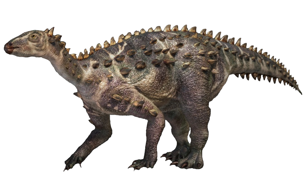 scelidosaurus fossil