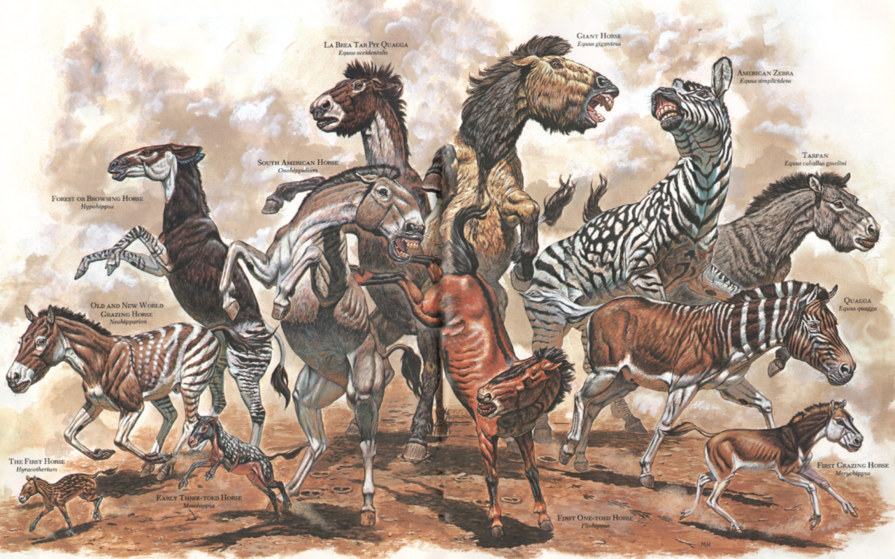 dinopedia