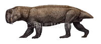 Lystrosaurus
