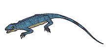 Millerosaurus pricei