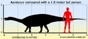 Aardonyx-size-1-