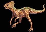 Microceratops