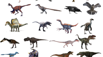 Theropoda Dinopedia Fandom