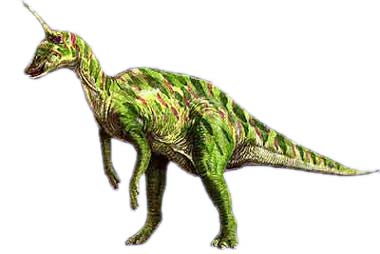 Tsintaosaurus spinorhinus