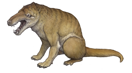 safari ltd andrewsarchus