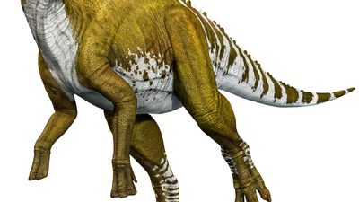 Edmontosaurus Dinopedia Fandom - ground tyrannosaurus roblox