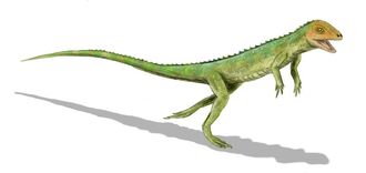 Eudibamus cursoris