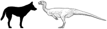220px-Chilesaurus diagram