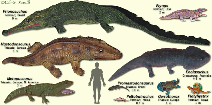 Image - Temnospondyls.jpg | Dinopedia | FANDOM powered by Wikia