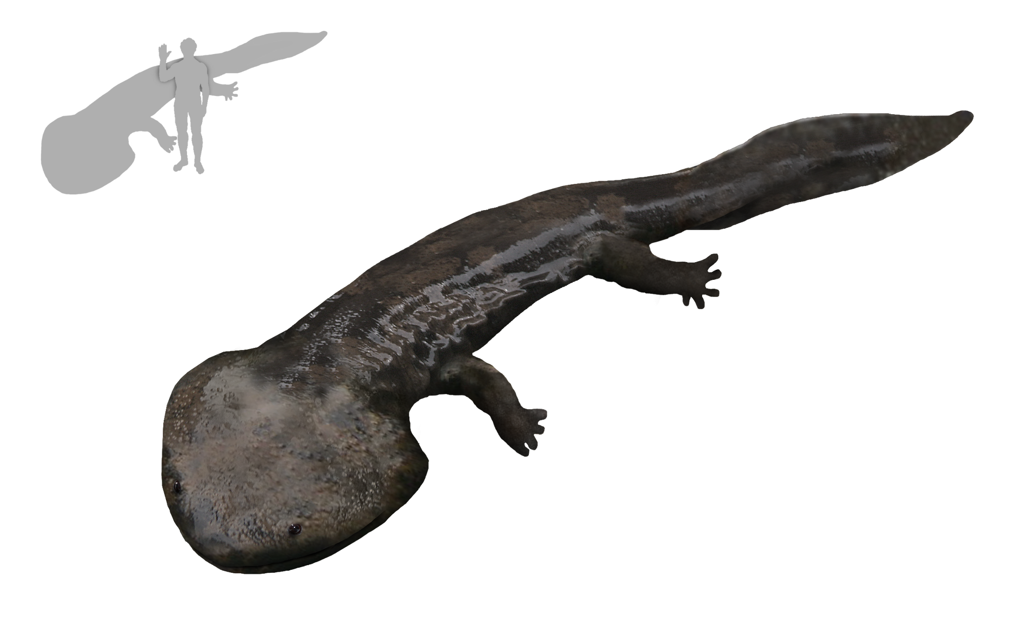 largest amphibious dinosaur