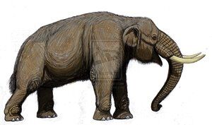 Haplomastodon | Dinopedia | Fandom