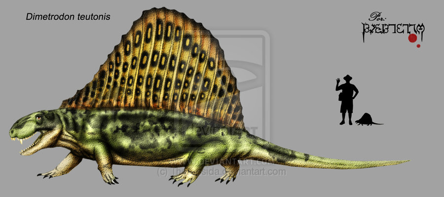 image dimetrodon teutonis by theropsida jpg dinopedia fandom dimetrodon size