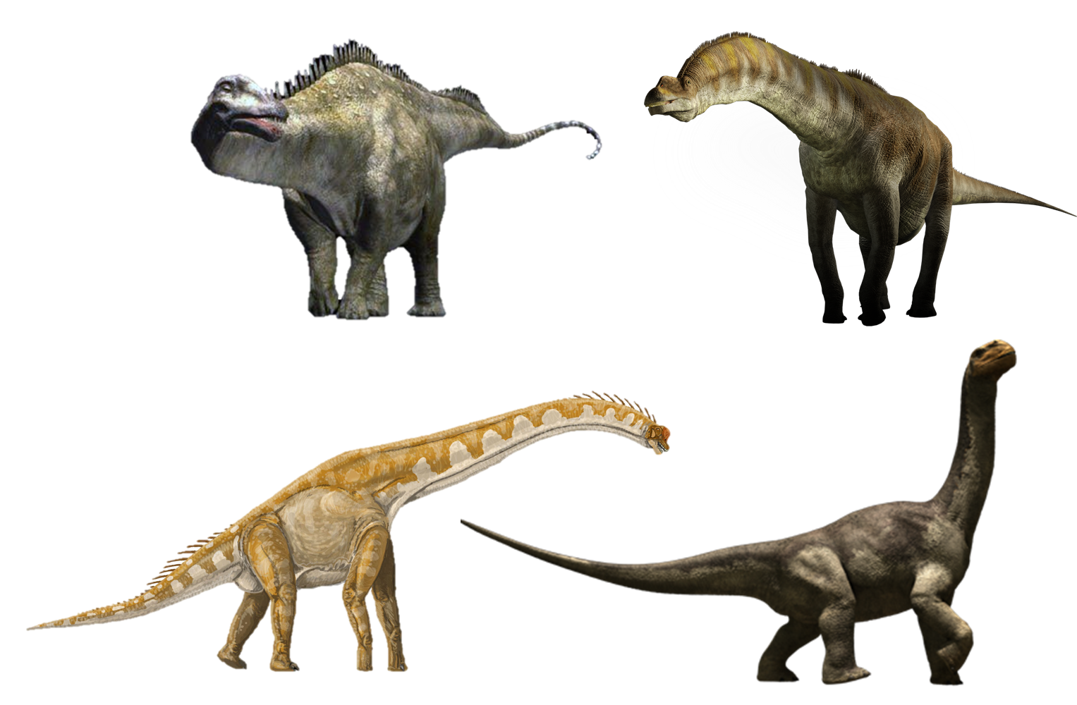 all small dinosaurs