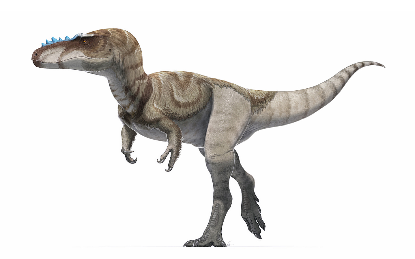 allosaurus with horns