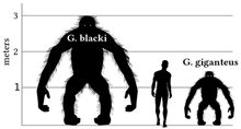 Size Giganto