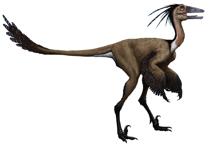 Sinovenator | Dinopedia | FANDOM powered by Wikia