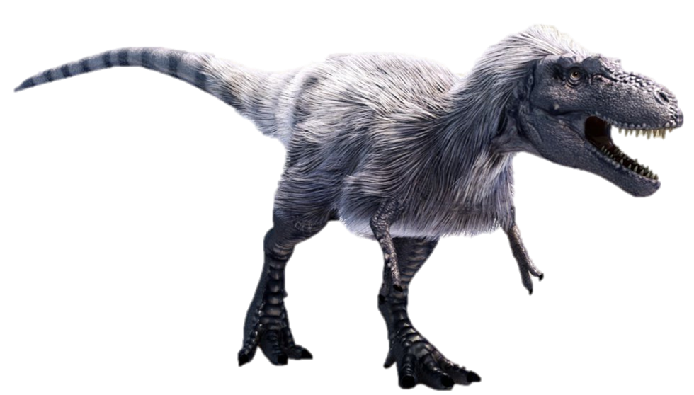 Image result for albertosaurus