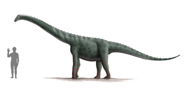 lapparentosaurus