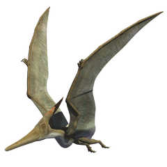 pterodáctilo pteranodon