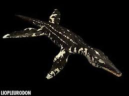Lioplerodon