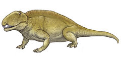 Sphenacodon | Dinopedia | FANDOM powered by Wikia