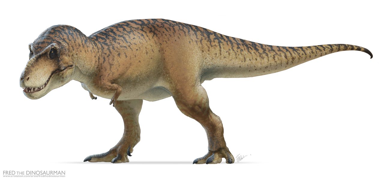 trex dinosaurus