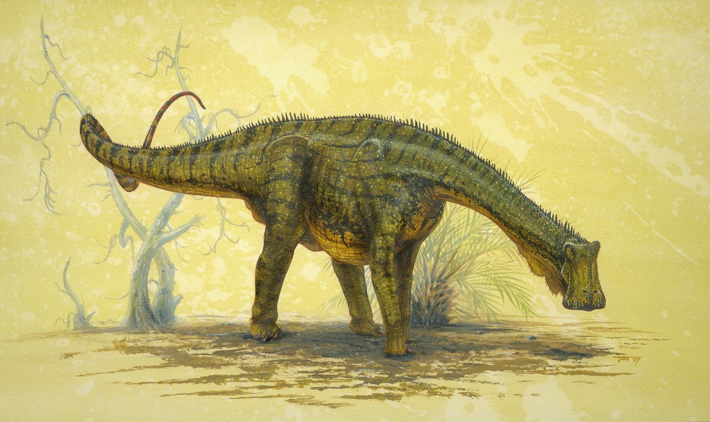 Nigersaurus Todd Marshall X Jpg Nigersaurus Todd Marshall X Jpg