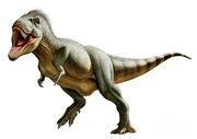 Tyrannosaurus-rex-a-genus-mohamad-haghani