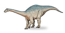 220px-Riojasaurus sketch3