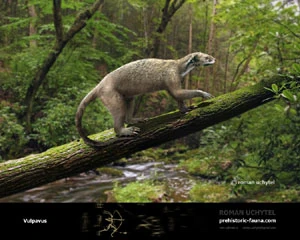 Vulpavus Dinopedia FANDOM powered by Wikia