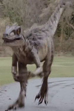 walking with dinosaurs raptor