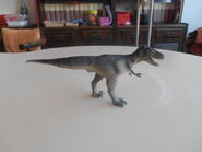 safari ltd albertosaurus