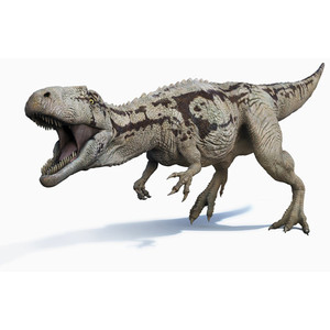 carcharodon dinosaur