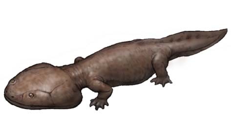 koolasuchus walking with dinosaurs koolasuchus walking with dinosaurs