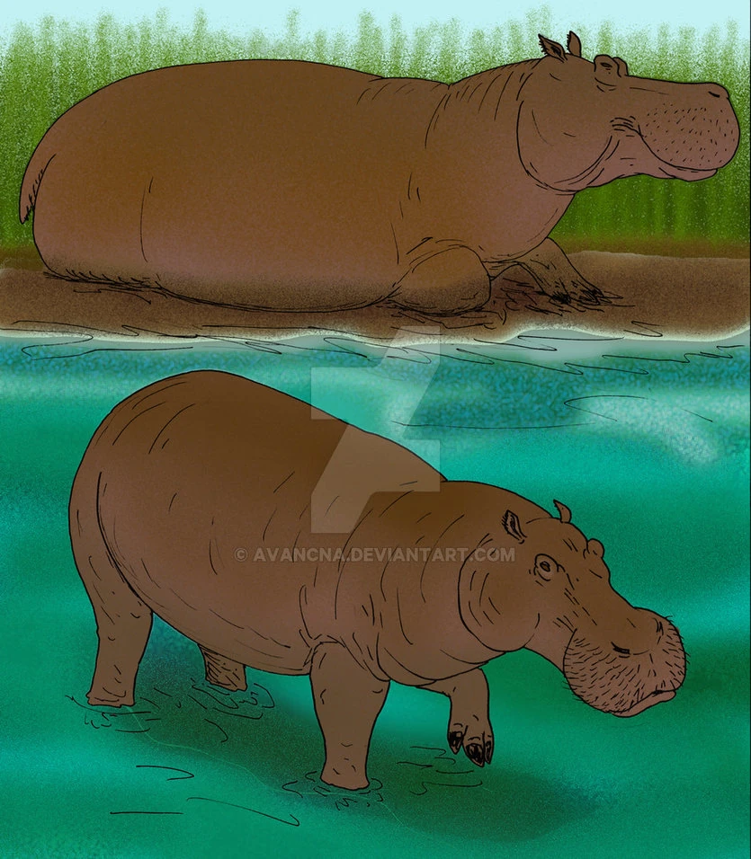 Hippopotamus behemoth | Dinopedia | Fandom