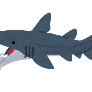 helicoprion shark toy