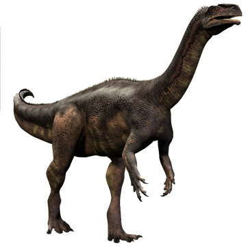 Plateosaurus | Dinopedia | FANDOM powered by Wikia