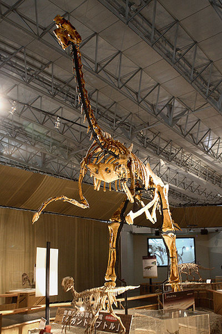 File:Gigantoraptor.png
