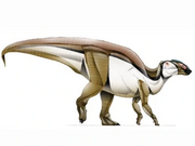 JPI Gryposaurus