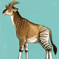 Sivatherium Dinopedia Fandom