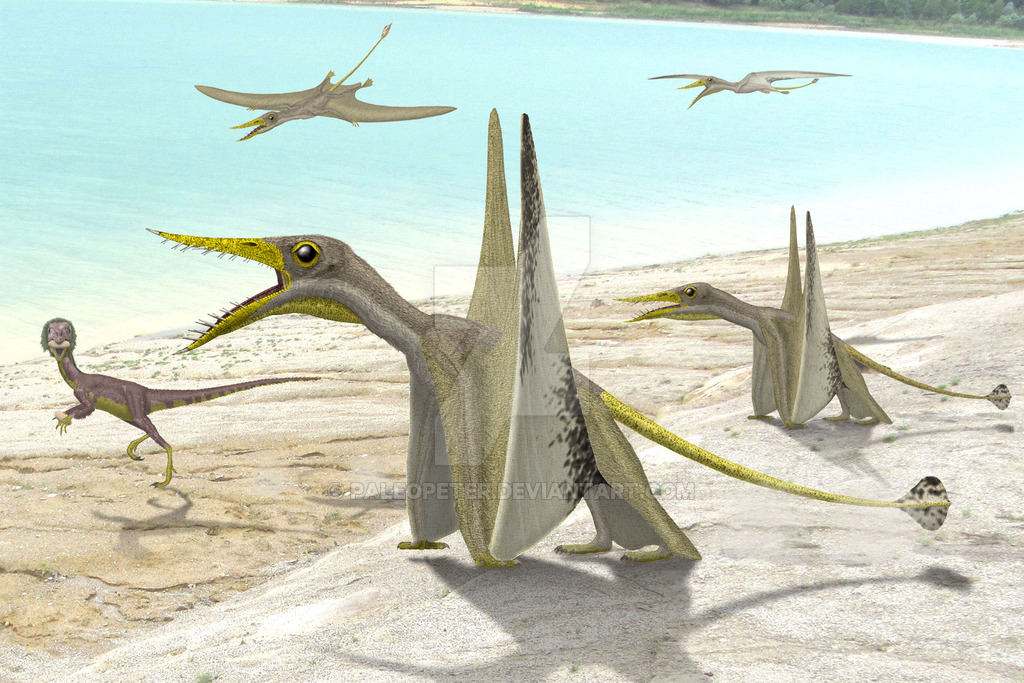 walking with dinosaurs rhamphorhynchus