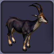 Bluebuck Dinopedia FANDOM powered by Wikia