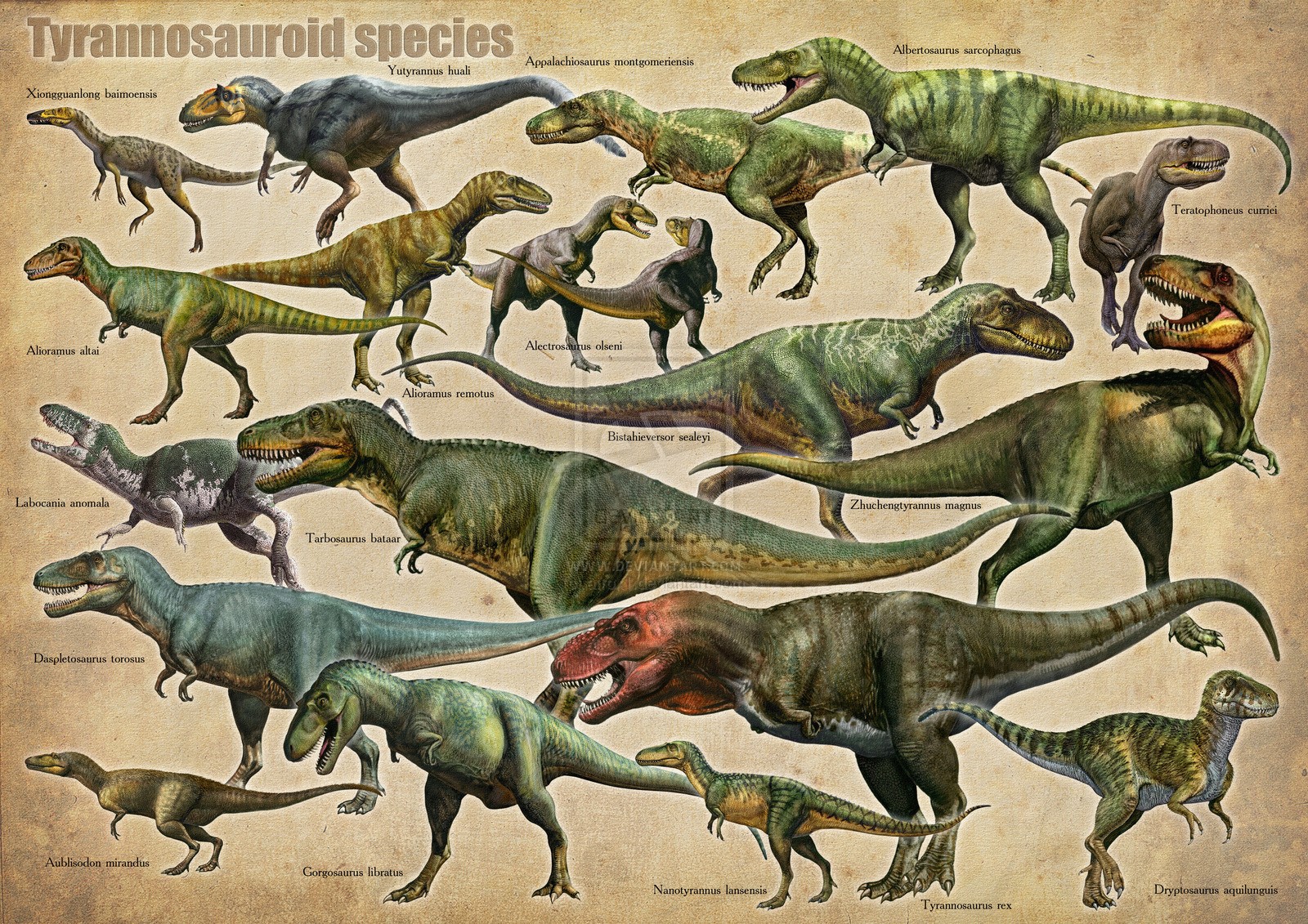 different kinds of t rex