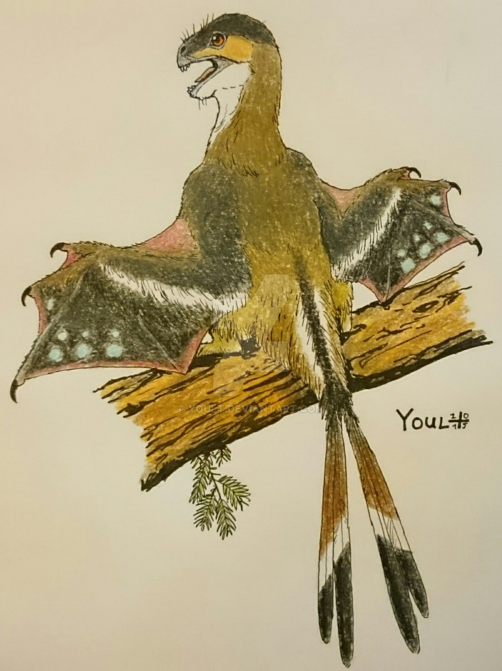 yi qi fossil