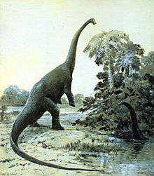 220px-Diplodocus cknight