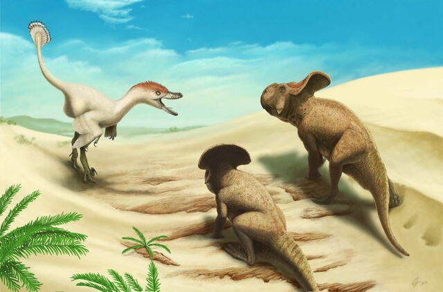velociraptor protoceratops fighting